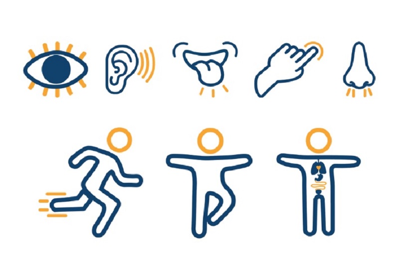 حواس هشت گانه