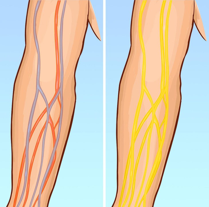  داشتن «خون طلایی»