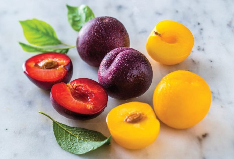 آلو و کاهش وزن