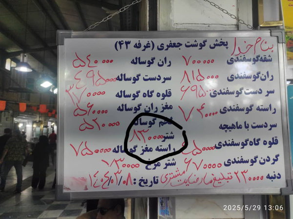 قیمت گوشت شتر از گوشت گوسفند سبقت گرفت !