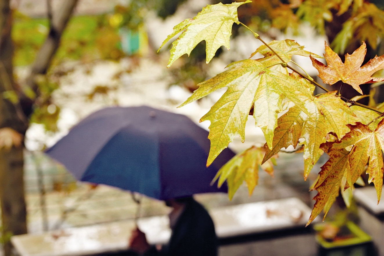 سامانه بارشی جدید بالاخره به ایران رسید/ در این مناطق از کشور برف میبارد سامانه بارشی جدید بالاخره به ایران رسید/ در این مناطق از کشور برف میبارد