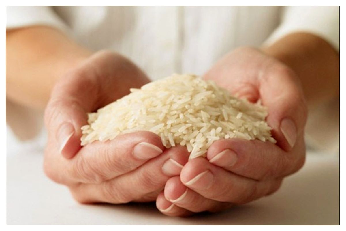 دلیل افزایش بی سابقه قیمت برنج ایرانی – ساناپرس دلیل افزایش بی سابقه قیمت برنج ایرانی – ساناپرس