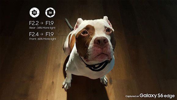 تصویر نمونه با گوشی گلکسی اس 6 تصویر نمونه با گوشی گلکسی اس 6