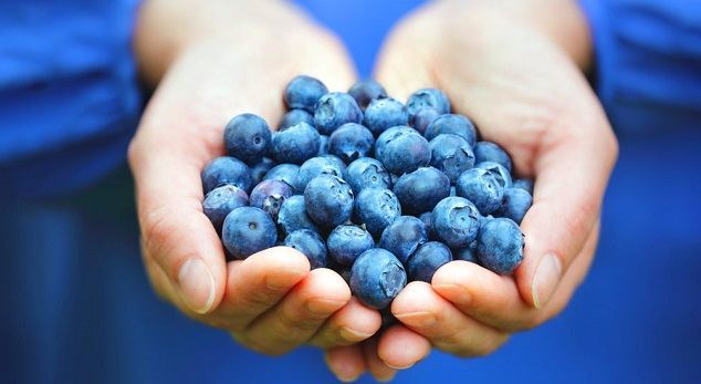 بلوبری پر از آنتی اکسیدان