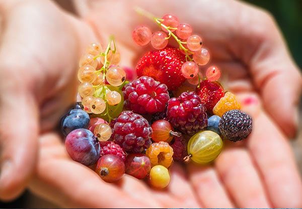 کاهش فشار خون