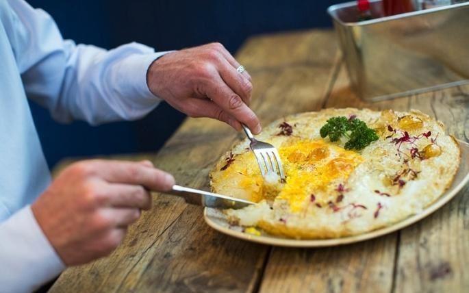 میزان کلسترول و چربی موجود در تخم شتر