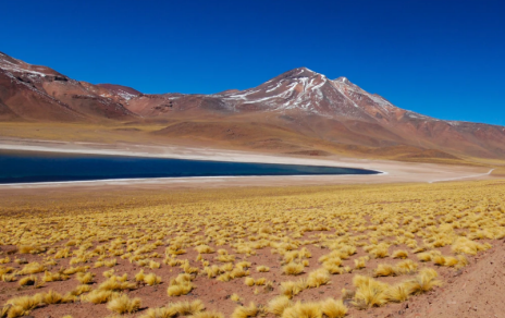 افزایش تولید 21 درصدی طلا Kirkland Lake Gold