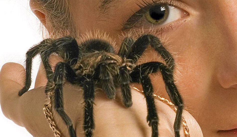 سندروم اورباخ ویته