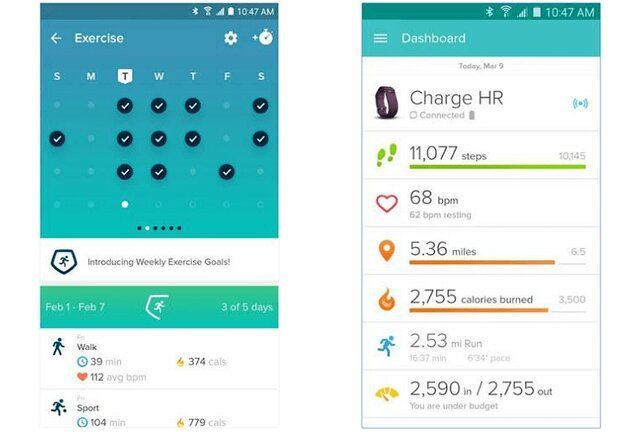 فیت بیت (Fitbit) 