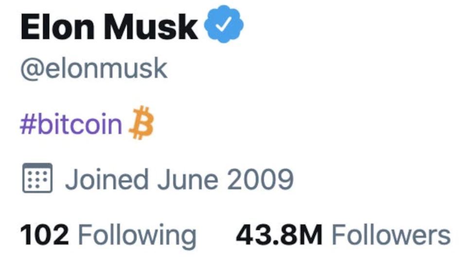 بیو ایلان ماسک