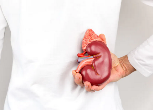 نارسایی کلیوی