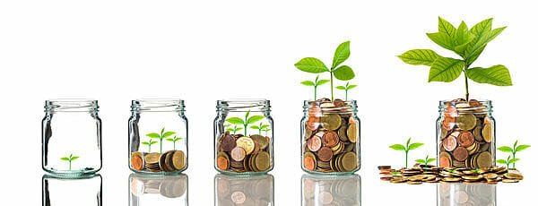 سرمایه گذاری