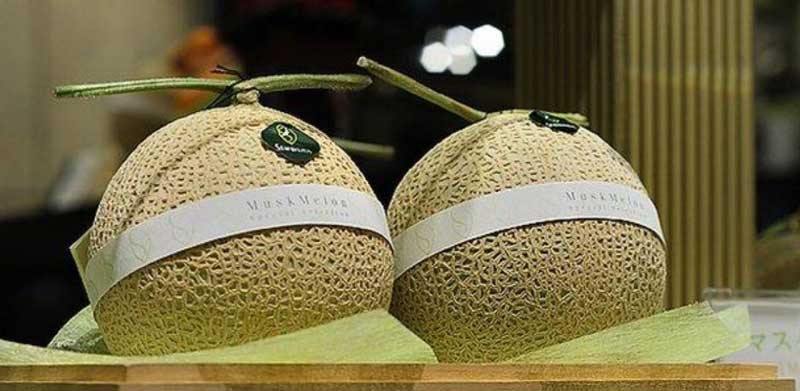  یوباری میوه ای عجیب و لاکچری