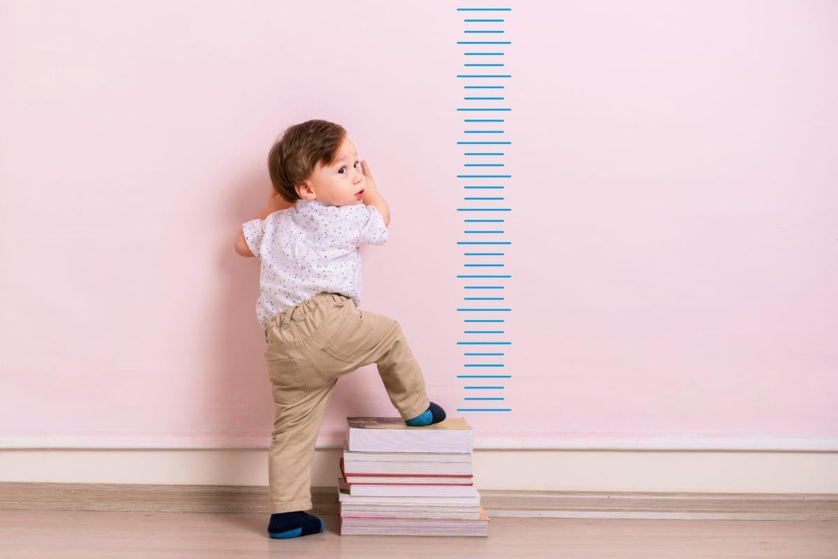 تقویت سیستم ایمنی