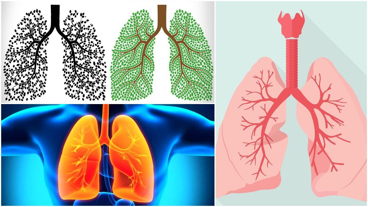 چطور ریه قوی داشته باشیم؟