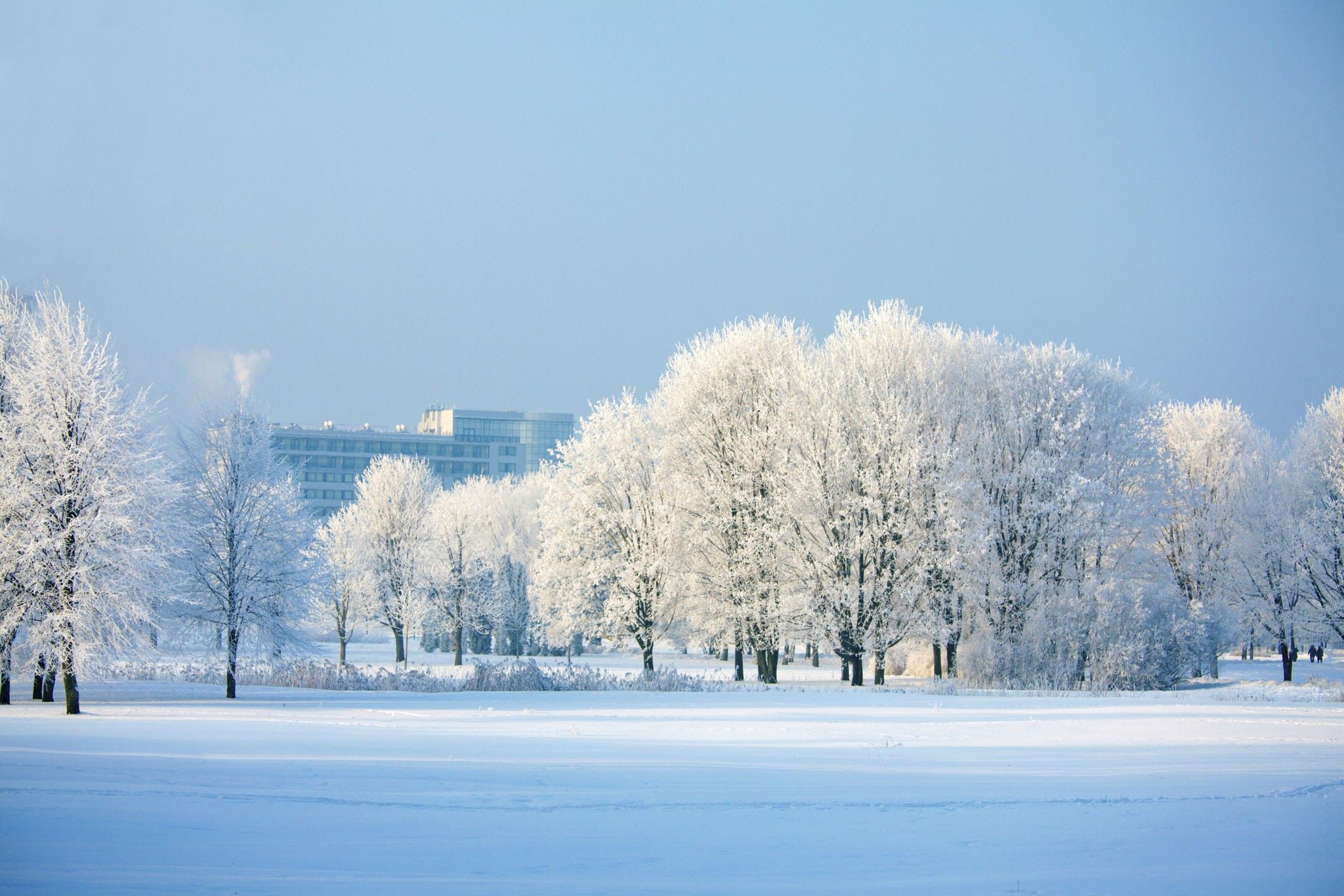 متولدین اسفند