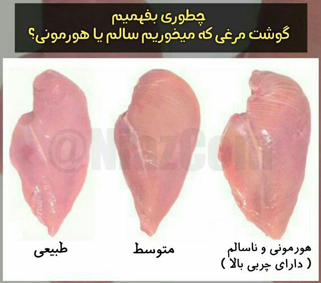مرغ هورمونی و سالم