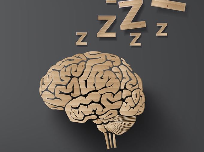 خواب و حافظه