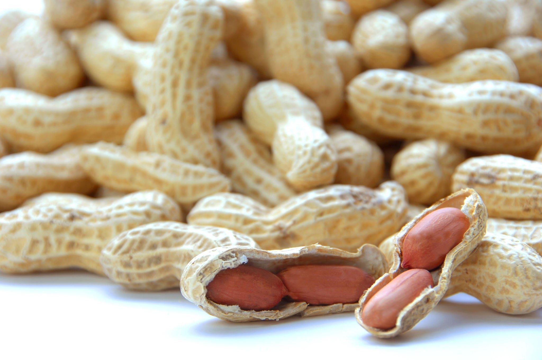 بادام زمینی