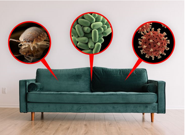 چرا نباید روی مبل بخوابید