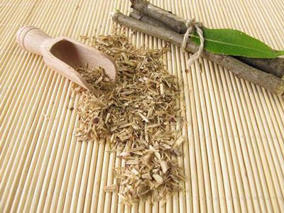 پوست بید سفید