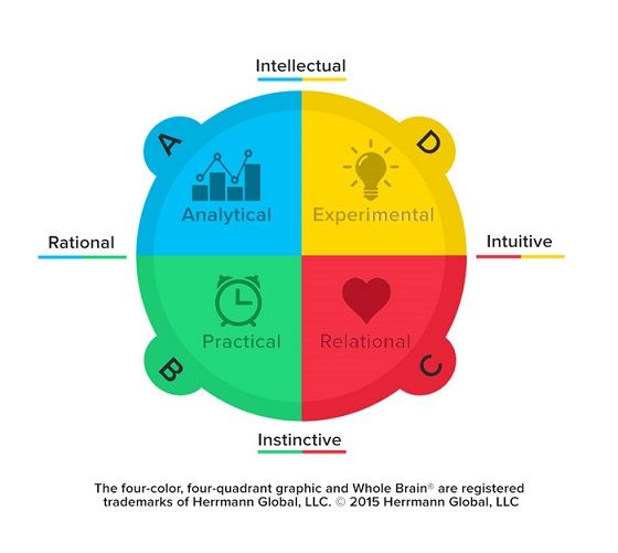 سلطه مغز هرمان