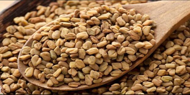 تخم شنبلیله