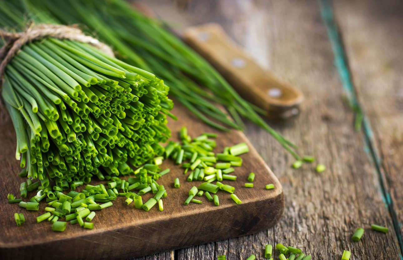 پیازچه کوهی