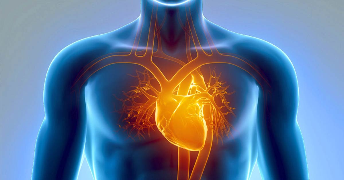 بیماری قلبی