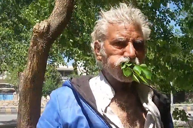 این پیرمرد به جای غذا شاخ و برگ درخت میخورد