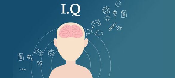 آی کیو