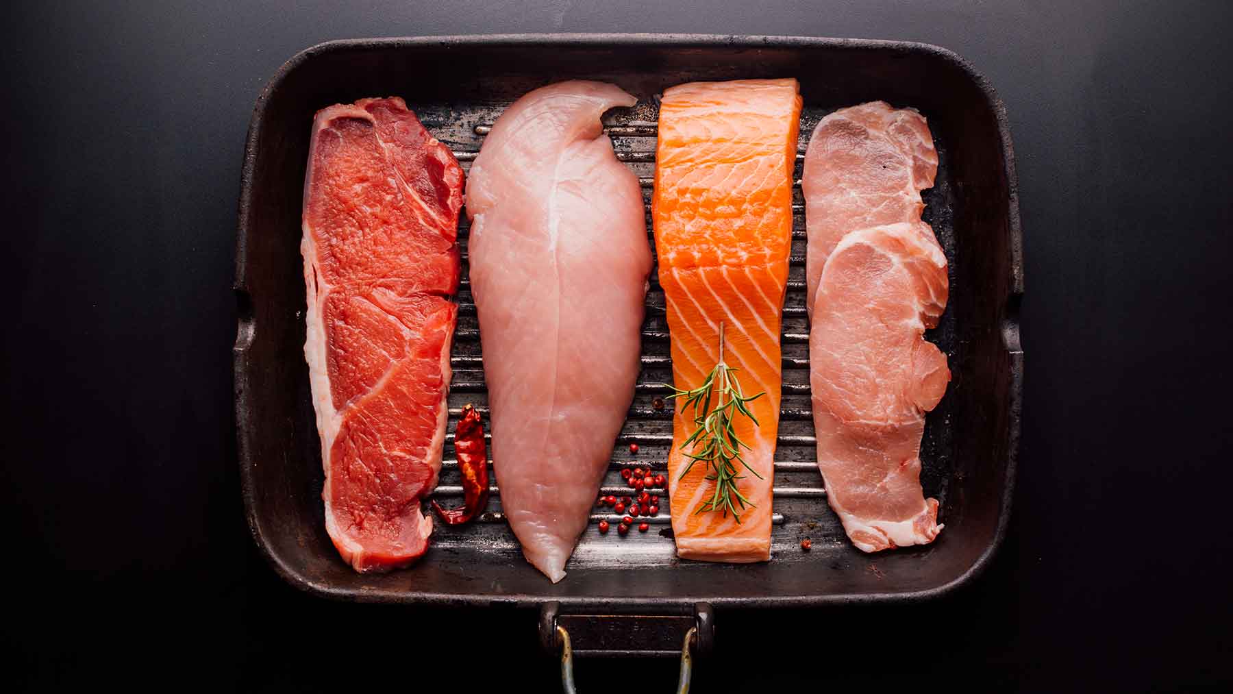 پروتئین حیوانی