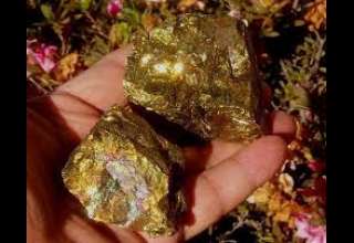 کردستان طلایی می‌شود/ مهرماه زمان بهره‌برداری معدن طلای ساریگونی