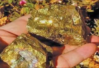 کشف معدن طلا با ظرفیت ذخیره 4000 تن طلا در نهبندان