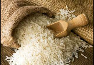 افزایش ۱۵ درصدی قیمت برنج ایرانی در یک ماه اخیر