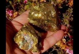 خبرگزاری مهر