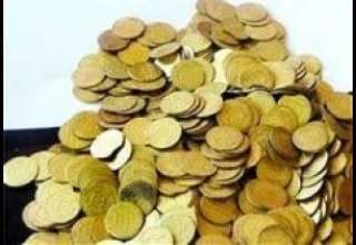 زیرخاکی پیدا کردن چقدر آب می خورد