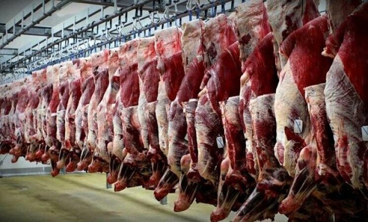 گوشت رستوران‌ها چگونه تأمین می‌شود؟