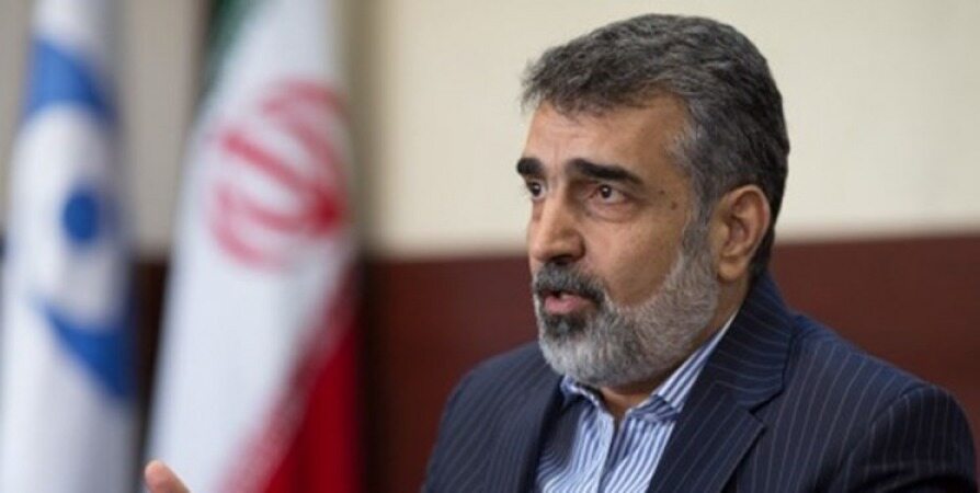کمالوندی: به شورای امنیت برویم ممکن است از برجام خارج شویم