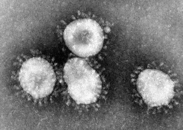 دومین مورد مبتلا به ویروس کرونا در آمریکا تایید شد