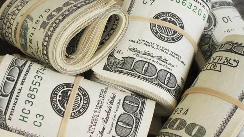 ارز 4200 تومانی باید حذف شود/ به دارو و بعضی محصولات یارانه اختصاص یابد