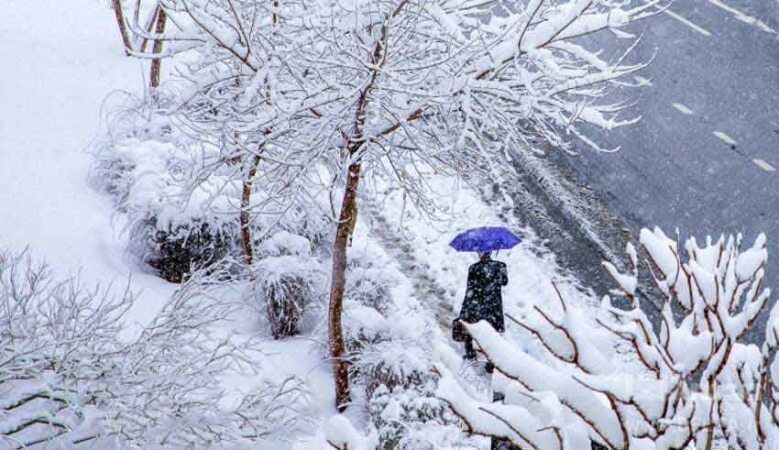 هواشناسی ایران ۹۸/۱۱/۲۸|هشدار کولاک برف و آبگرفتگی معابر در ۲۷ استان