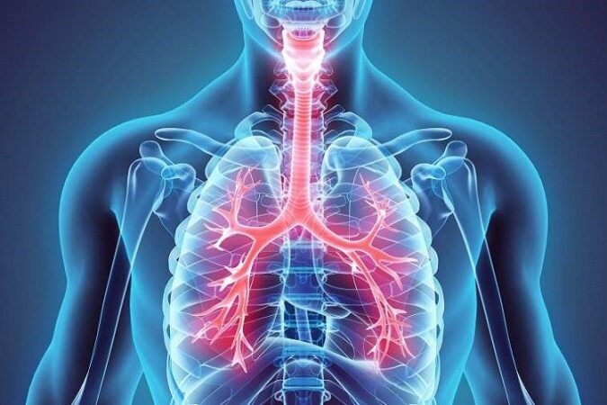 ۶ راهکار ساده برای تقویت ریه‌ها و دستگاه تنفسی