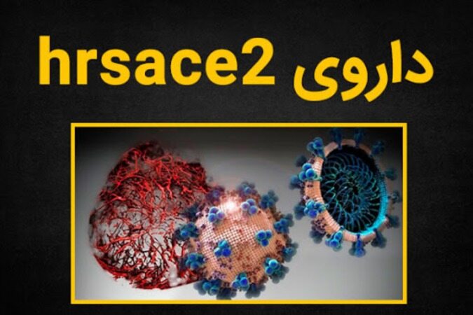hrsACE2؛ کشف دارویی احتمالی کرونا توسط دانشمندان کانادا