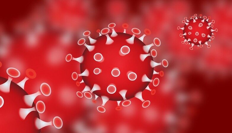 کاشف HIV؛ ویروس کرونا در آزمایشگاه ووهان ساخته شده است!