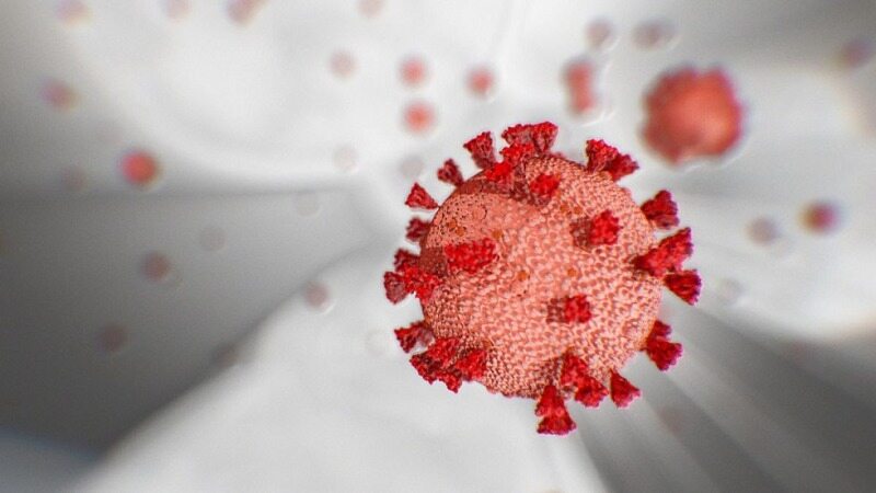 آیا ویروس کرونا از طریق رابطه جنسی منتقل می‌شود؟/کدام گروه‌های خونی بیشتر به کرونا مبتلا می‌شوند/کرونا از راه زخم هم منتقل می‌شود؟