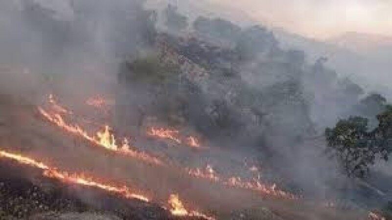 مهار آتش سوزی در استان کهگیلویه و بویراحمد