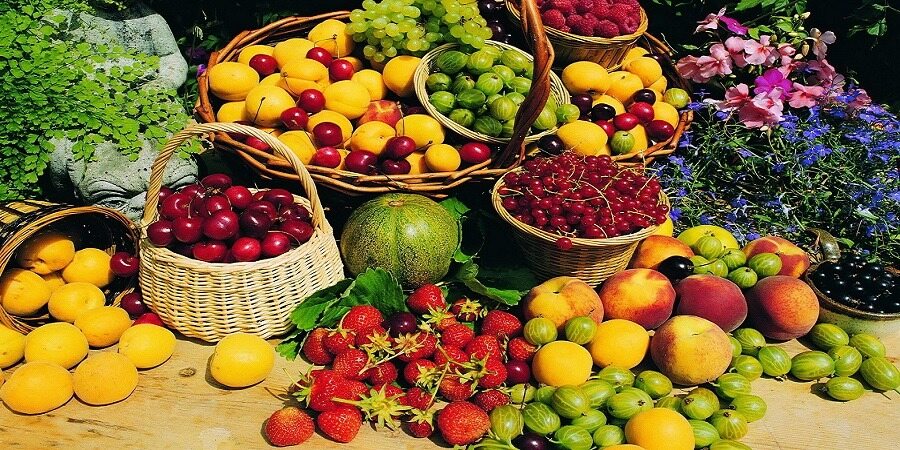 میوه‌های نوبرانه، معادل یک تراول ۵۰ هزار تومانی/ فاصله چندی برابری قیمت از میدان مرکزی تا مغازه