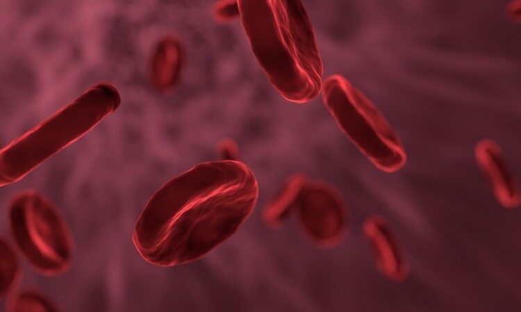 مقاوم ترین گروه خونی در برابر کووید۱۹ شناخته شد