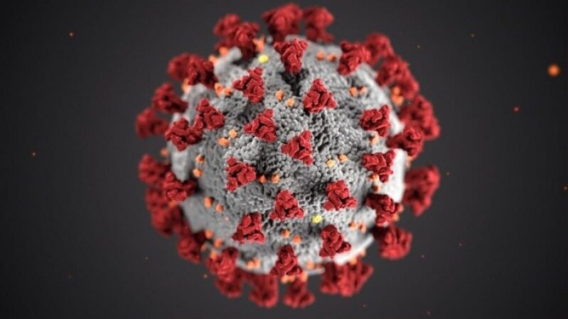 مهمترین راهکار موثر در برابر ویروس کرونا 